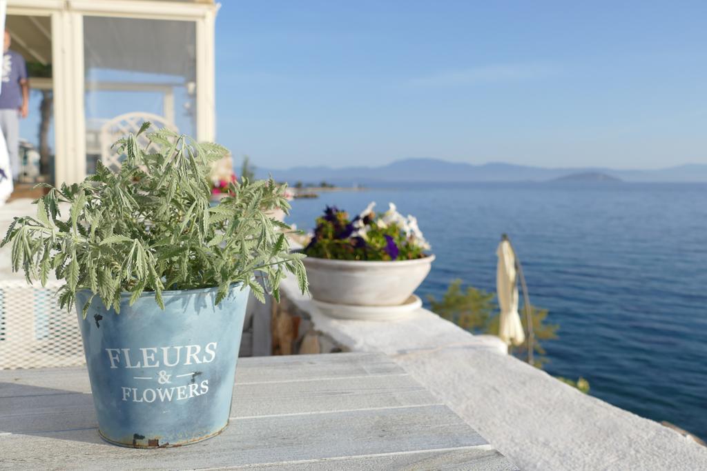 Kekrifalia Hotel Skála Dış mekan fotoğraf